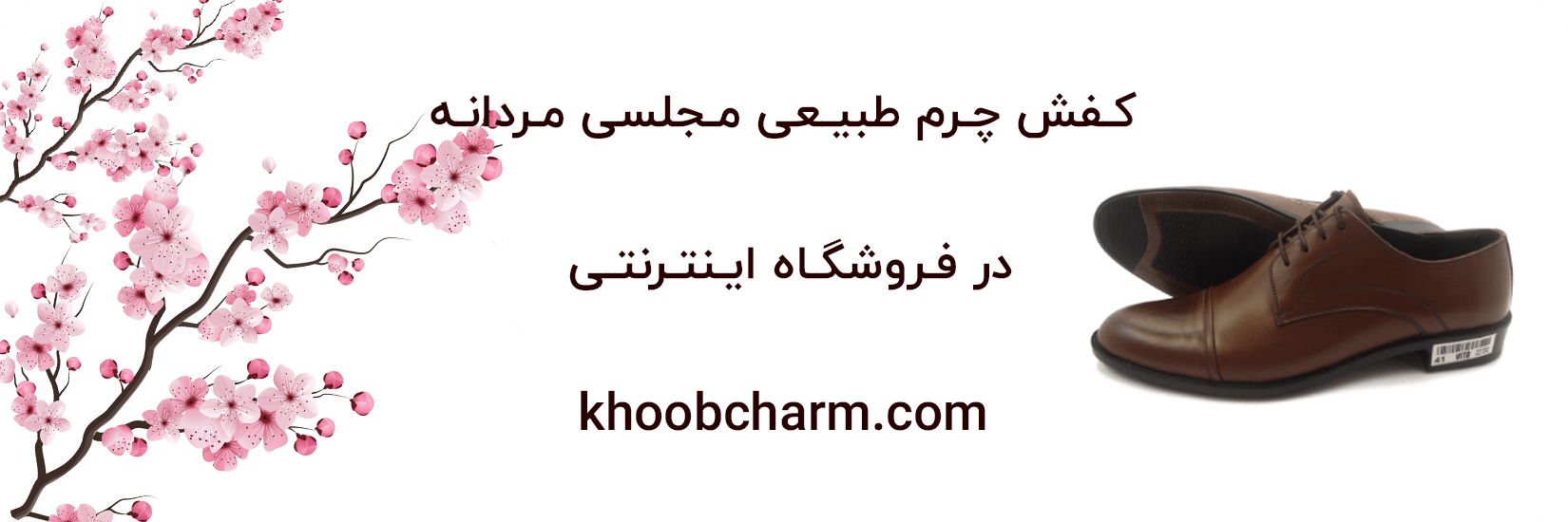 کفش چرم طبیعی مردانه مجلسی